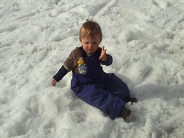 Miko in the snow