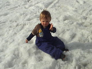 Miko in the snow