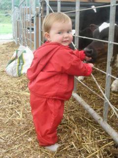 Tessa out feeding the calves