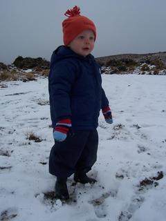 Max out in the Snow